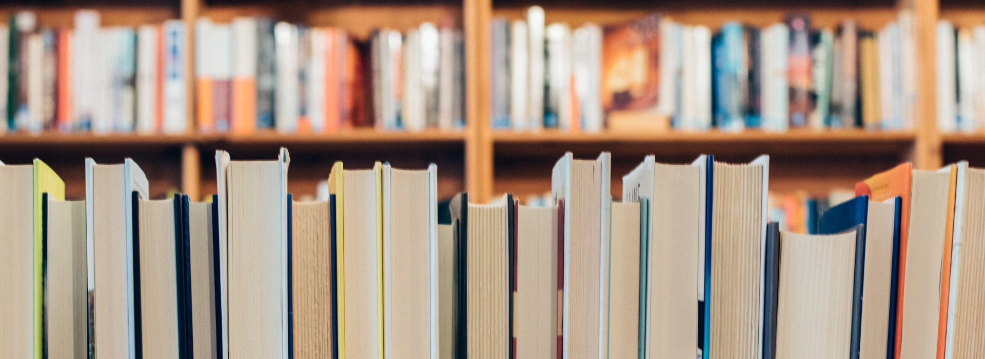 Books lined up on a shelf